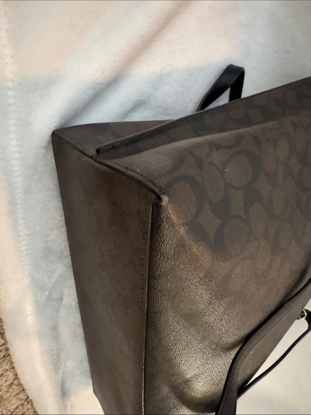 Coach Mollie Tote 25 in Signature Canvas Tote